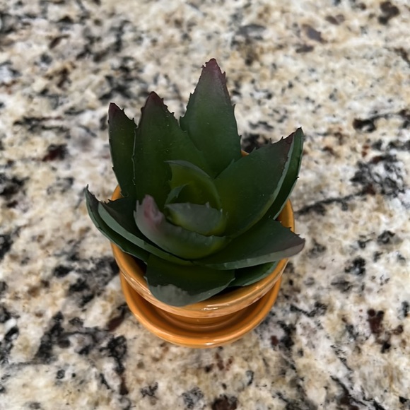Mini Faux Cactus - Picture 2 of 5